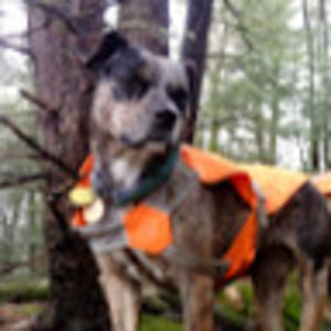 Meet your Posher, Liz